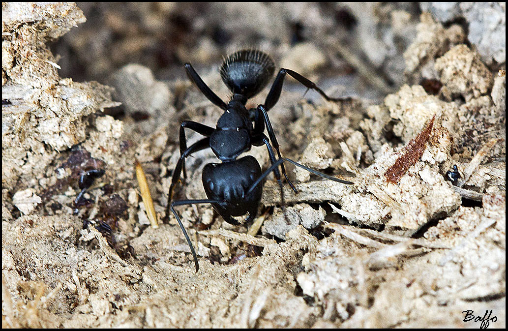 Uscite con i primi raggi di sole
